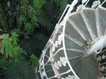 15372 Spiral staircase.jpg